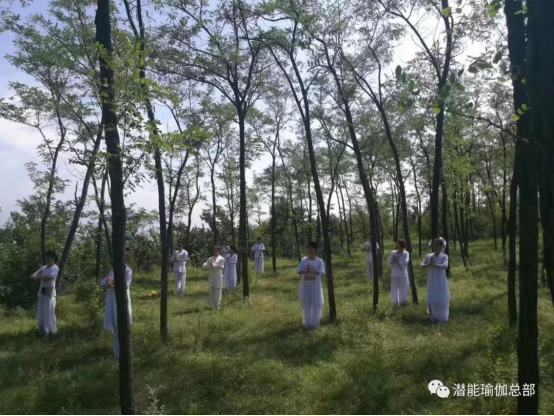CQ9电子 CQ9传奇中国最好的瑜伽教练培训有何不同：潜能瑜伽嫡传弟子班招生简介(图22)
