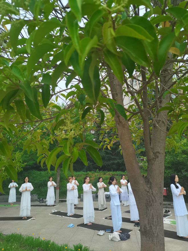 没有最专业的瑜伽教练培训只有最权威的瑜CQ9电子 CQ9传奇伽教练培训(图3)
