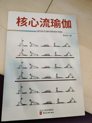 CQ9电子 CQ9传奇电子潘光亮老师撰写瑜伽行业的又一力作典籍《核心流瑜伽(图1)