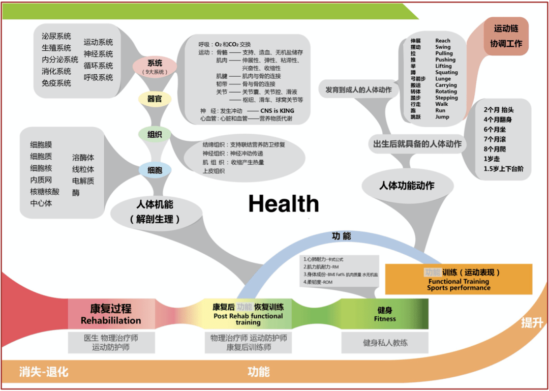 千聊知识工具 讲师喜讯曝光 瑜CQ9电子 CQ9传奇电子老师与耐克运动营达成战略合作(图5)