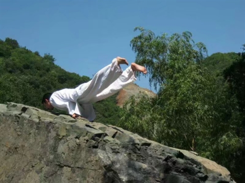 CQ9电子 CQ9传奇电子瑜伽教练培训哪里好——中国最专业的瑜伽教练培训学校(图3)