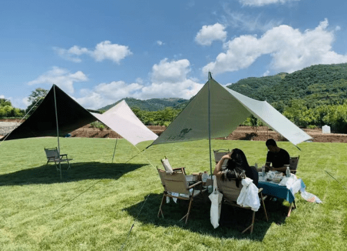 CQ9电子 CQ9传奇电子不出西安半小时可达的周末农场休闲南山下的露营+瑜伽+采摘+观山品茶(图8)