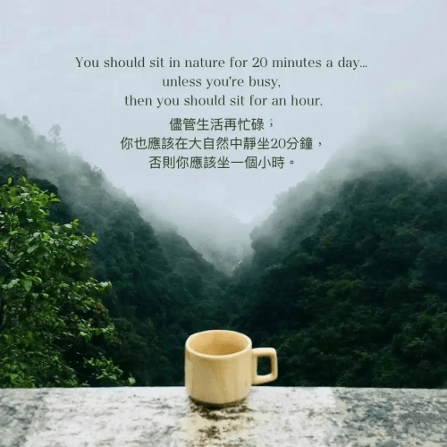 CQ9电子 CQ9传奇电子不出西安半小时可达的周末农场休闲南山下的露营+瑜伽+采摘+观山品茶(图5)