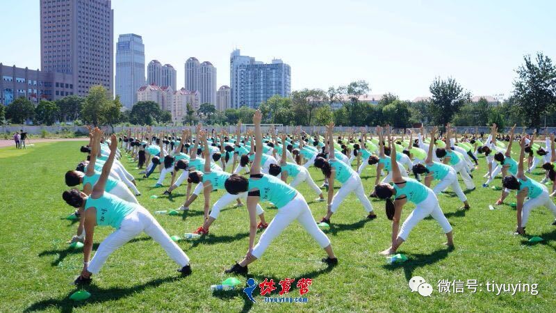 CQ9电子 CQ9传奇电子『名师张爽培训课程』整体瑜伽理念—流动冥想及应用(图4)