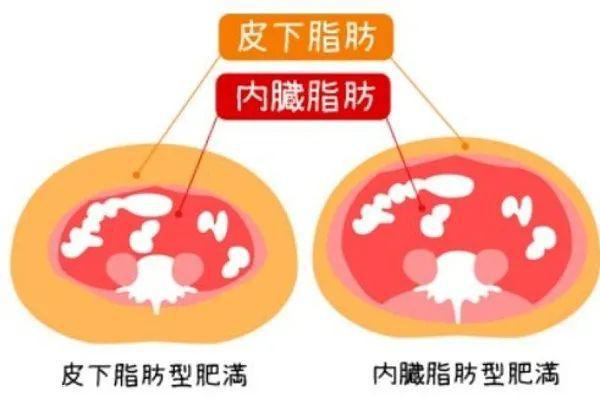 36岁的杨幂”性感照片“流出冲上热搜3亿网友评论：“离婚后的她根CQ9电子 CQ9传奇电子本认不出来！”(图23)