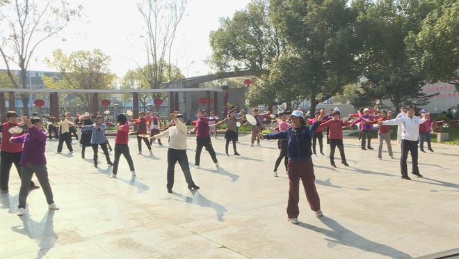 守护最美夕阳红市老年体协举办柔力球培CQ9电子 CQ9传奇电子训(图1)